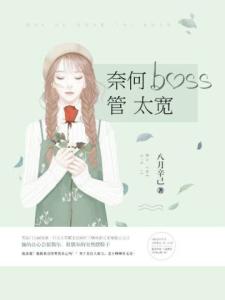 奈何boss管太宽
